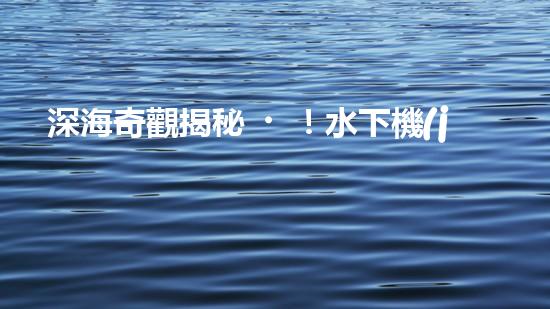 深海奇觀揭秘！水下機(jī)器人探索未知世界，你敢跟隨嗎？